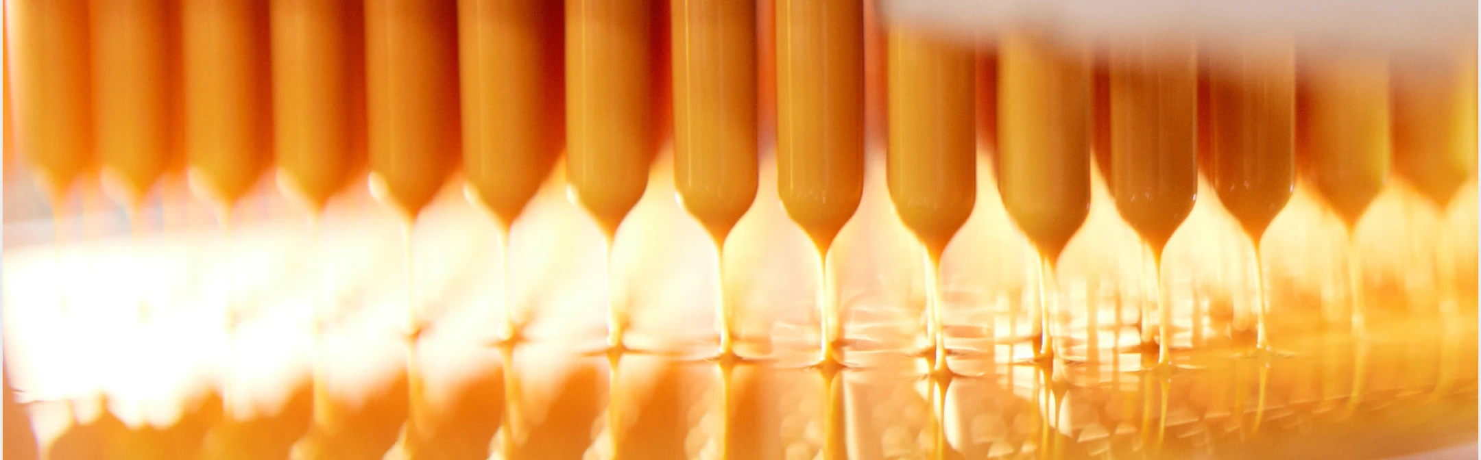 Gelatine Capsules Desktop Banner